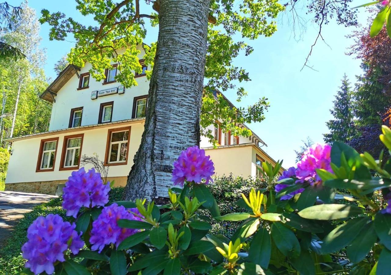 Pension Haus Anna Altenberg  Extérieur photo